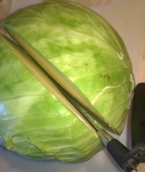 cabbage oops